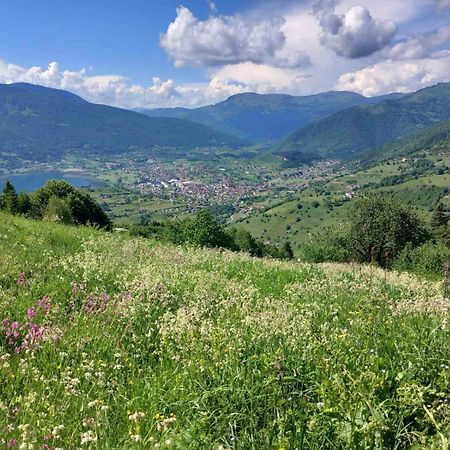 플라브 Viewpoint Kofiljaca B&B 외부 사진